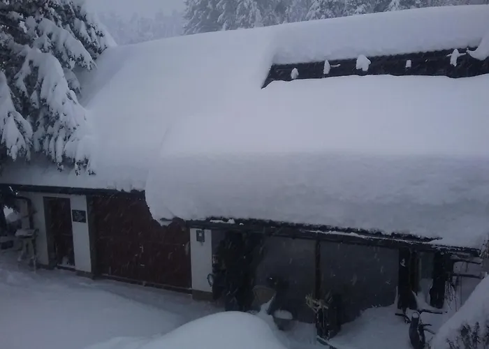 Haus Biggi - Pfänder Apartment Weiler-Simmerberg