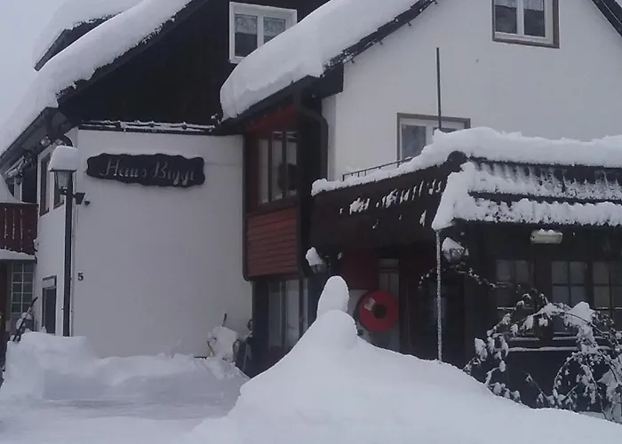 Haus Biggi - Pfaender